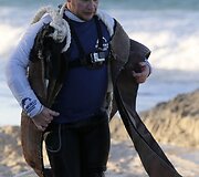 Australijoje gelbėjamas į krantą i&scaron;plaukęs banginis 