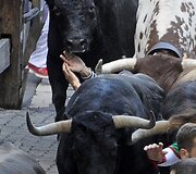 San Fermino festivalis