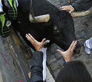 San Fermino festivalis