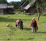 Arklio muziejuje