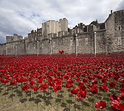 Tūkstančiai keraminių aguonų prie Londono tvirtovės