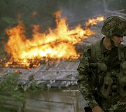 Kolumbijoje naikinama kokainmedžio plantacija