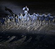 Pasaulio jodinėjimo žaidynių atidarymo ceremonija