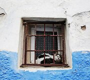 Rabato mieste 