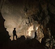 Urvas Kinijoje 