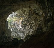 Urvas Kinijoje 