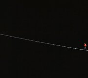 Niko Wallenda pasirodymas 152 metrų auk&scaron;tyje, Čikagoje.