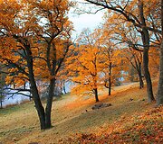 Rudens spalvos 