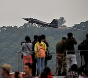 J-31 naikintuvas