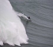 Banglentininkas Portugalijoje 