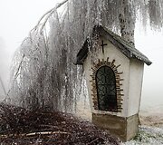 Austrijoje ledu pasidengę medžių &scaron;akos 