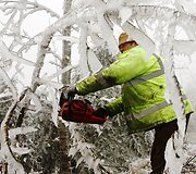 Austrijoje ledu pasidengę medžių &scaron;akos 