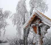 Austrijoje ledu pasidengęs kryžius ir medžių &scaron;akos 