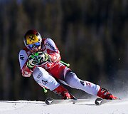 Marcelas Hirscheris