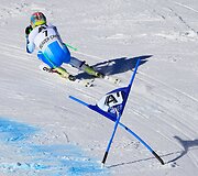 Tedas Ligety
