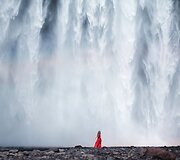 Elizabeth Gadd 