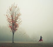 Elizabeth Gadd 