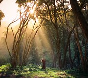Elizabeth Gadd 