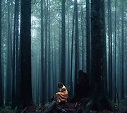 Elizabeth Gadd 