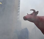Ūkininkų protestas Briuselyje 