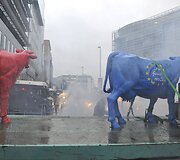 Ūkininkų protestas Briuselyje 