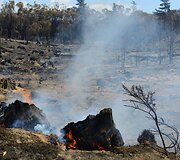 Gaisro padariniai Australijos pietuose 