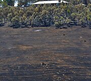 Gaisro padariniai Australijos pietuose 