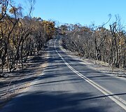 Gaisro padariniai Australijos pietuose 