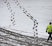 Sniegas Mančesterio oro uoste