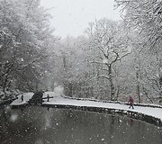 Sniegas Anglijoje