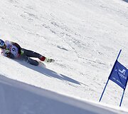 Bode Milleris