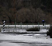 Potvynis Albanijoje 