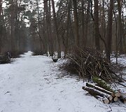 Tvarkomas Vingio parkas