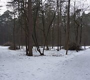 Tvarkomas Vingio parkas
