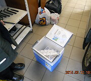 Kontrabandinės cigaretės 