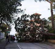 Italijoje praūžė stipri audra