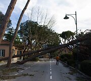 Italijoje praūžė stipri audra