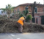 Italijoje praūžė stipri audra