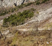 Prancūzijoje rieduliai apgadino pastatus
