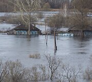 Potvynis Omsko srityje 