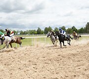 Žirgų lenktynės Raseinių hipodrome