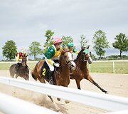Žirgų lenktynės Raseinių hipodrome