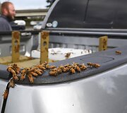 Va&scaron;ingtono valstijoje apvirto bites vežęs sunkvežimis