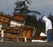Va&scaron;ingtono valstijoje apvirto bites vežęs sunkvežimis