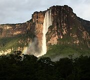 Anchelio kiorklys, Venesuela