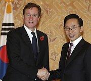 D.Britanijos premjeras Davidas Cameronas ir Pietų Korėjos prezidentas Lee Myung-bakas