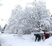 &Scaron;kotija