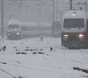 Vokietija