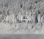 Mi&scaron;kas žiemą