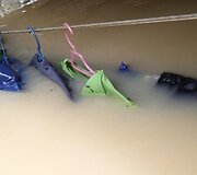 Drabužiai, kurie buvo pakabinti džiovinimui